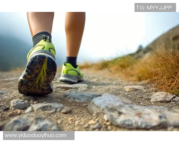 全面解析现代运动趋势与健康生活方式的深度融合探索